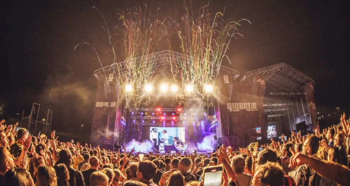 Festival promoter reviewing WhatsApp campaign results on mobile phone